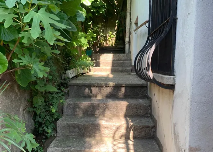 Gotthard Penthouse, View アパート